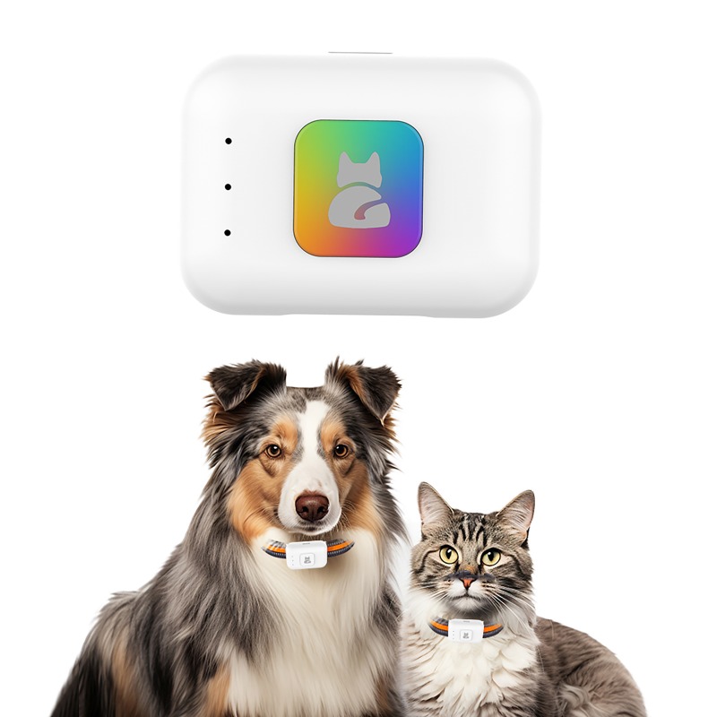 Pet GPS AGPS Tracking Device 4 - огляд і ціна Pet Supplies Discount