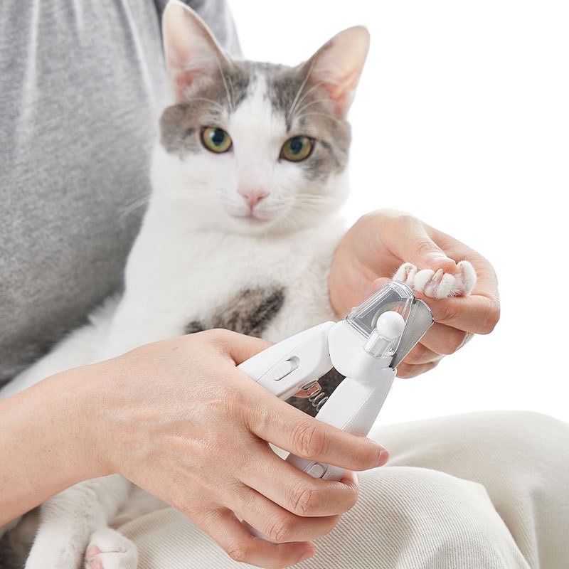 PETKIT Hair Cutting Machine Do - огляд і ціна Pet Supplies Grooming Hours