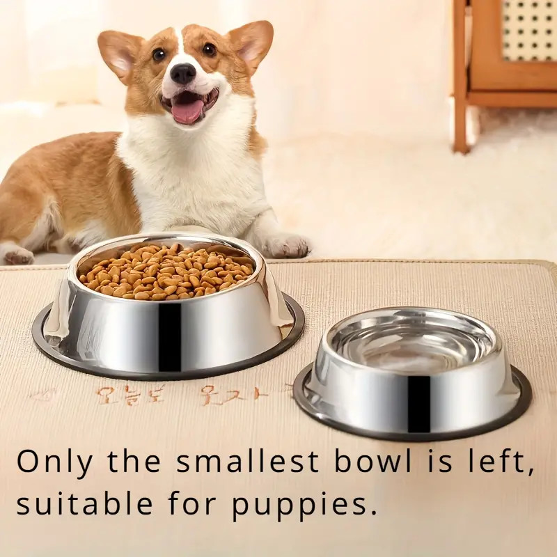 Non-slip Stainless Steel Dog B - огляд і ціна Pet Supplies Dropshipping