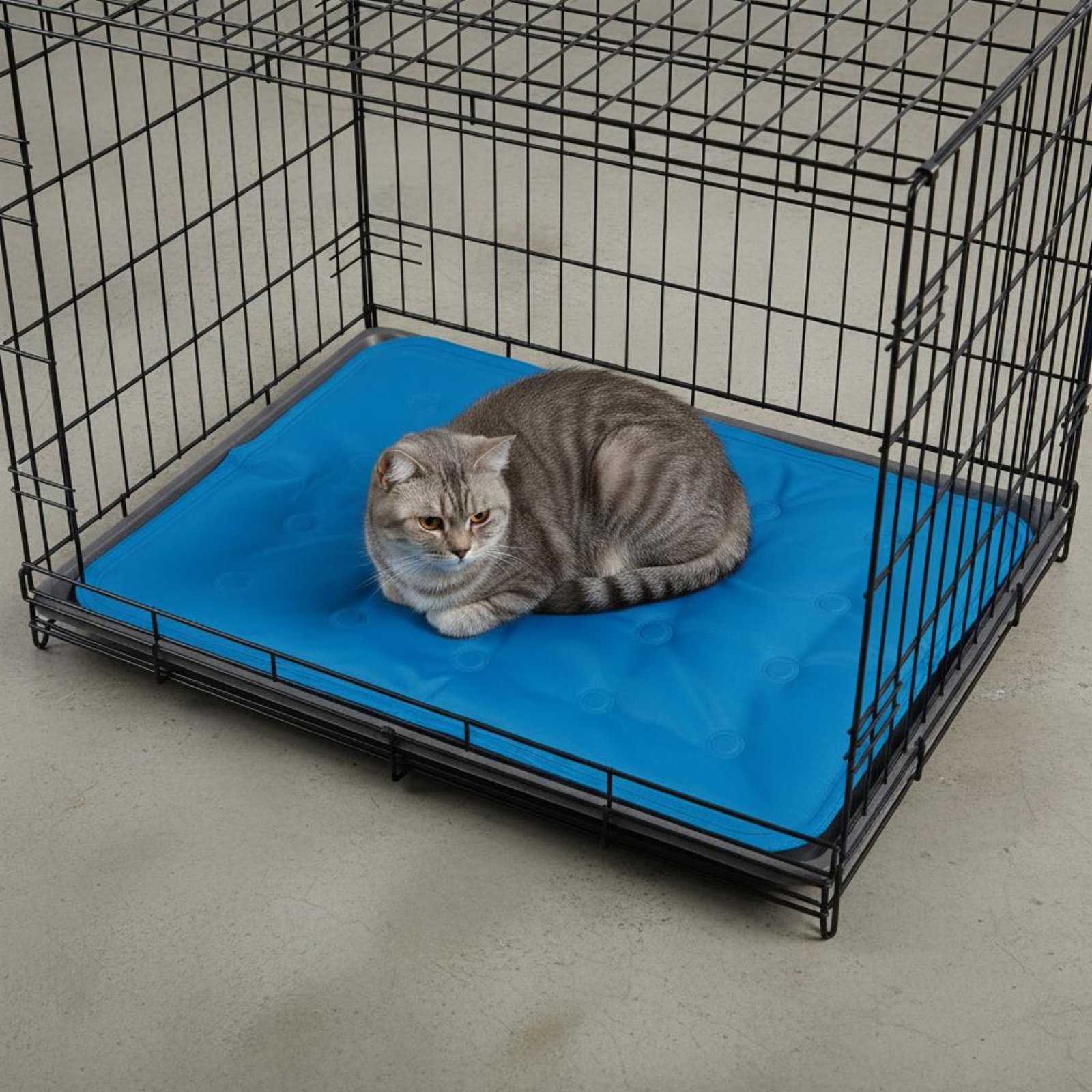 Pet Cooling Mat Gel Cooling Pa - огляд і ціна Dog Cooling Mat