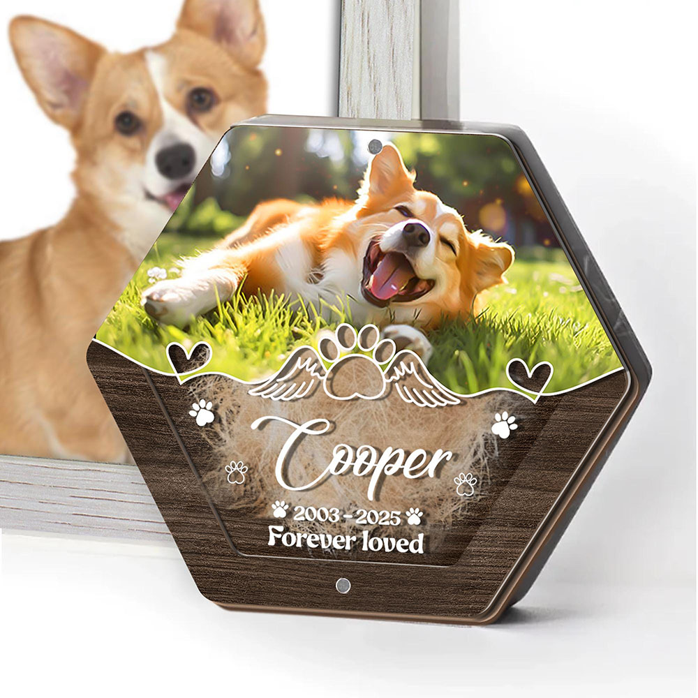 Personalized Name Wooden Carvi - огляд і ціна Pet Supplies Discount