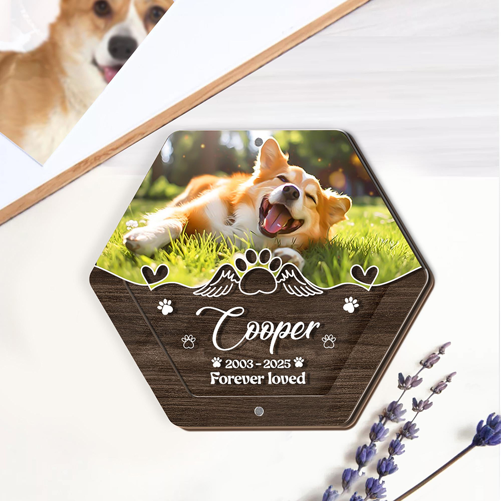 Personalized Name Wooden Carvi - огляд і ціна Pet Supplies Discount