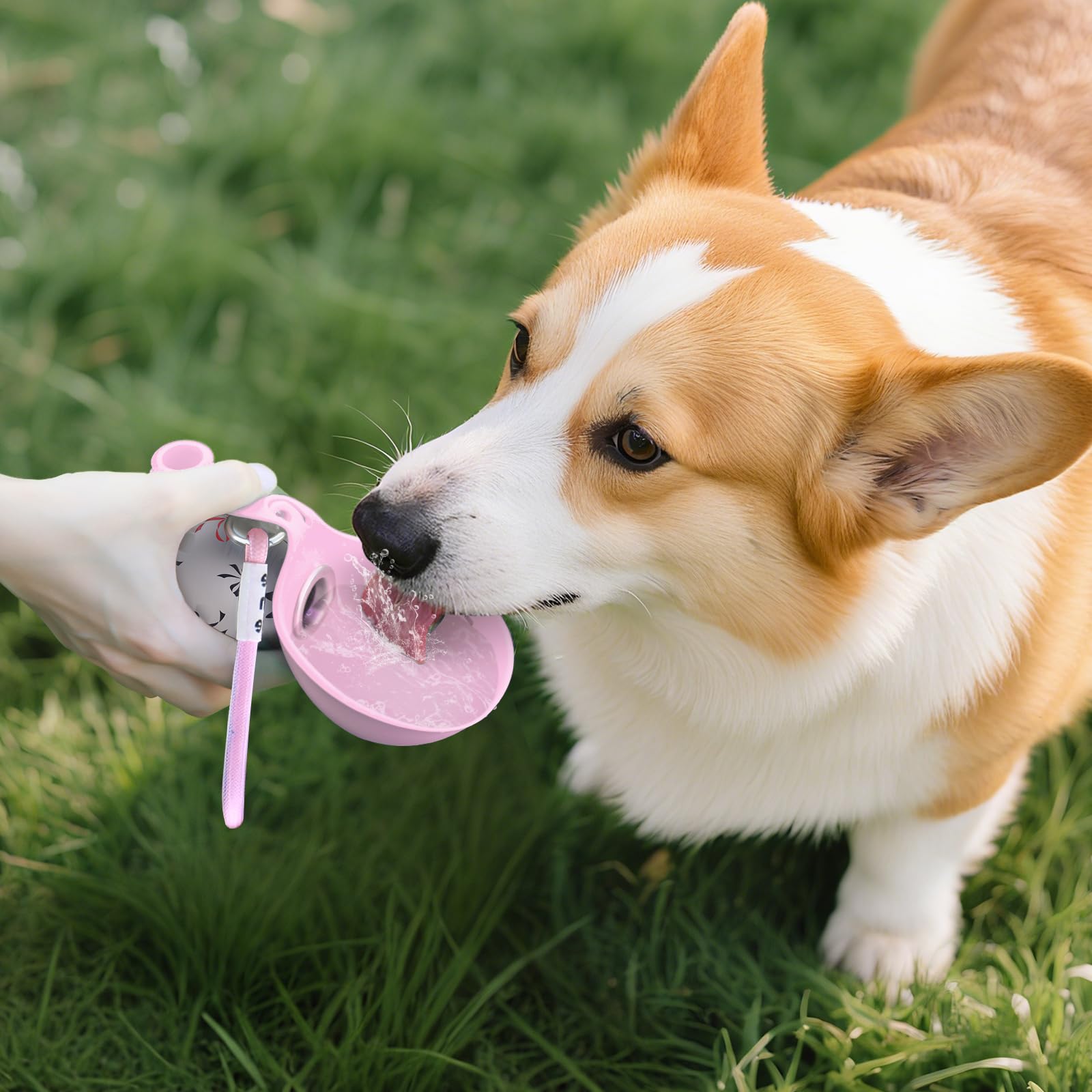 2-in-1 Portable Dog Water Bott - огляд і ціна Pet Supplies Dropshipping