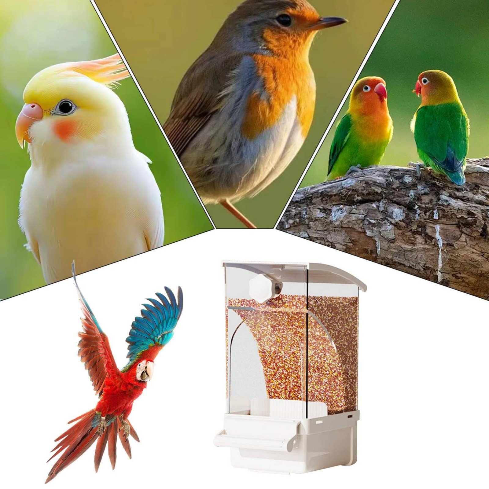 Automatic Avian Feeder Husk Se - огляд і ціна Pet Supplies Usa