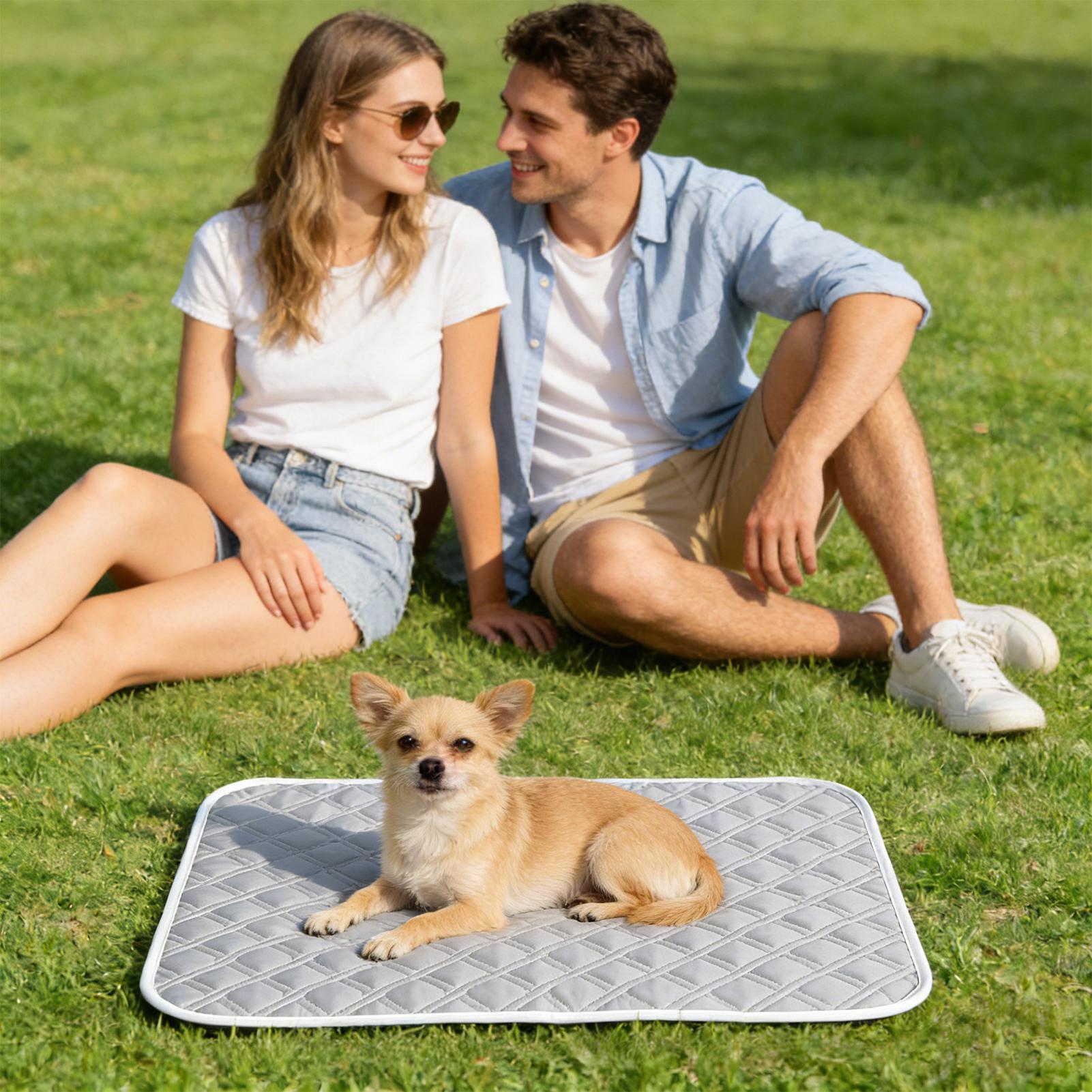 Cooling Pad For Dog Sweat Abso - огляд і ціна Dog Cooling Mat