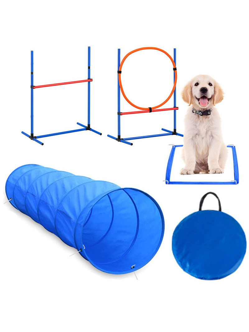 Dog Obstacle Training Competit - огляд і ціна Pet Supplies Usa