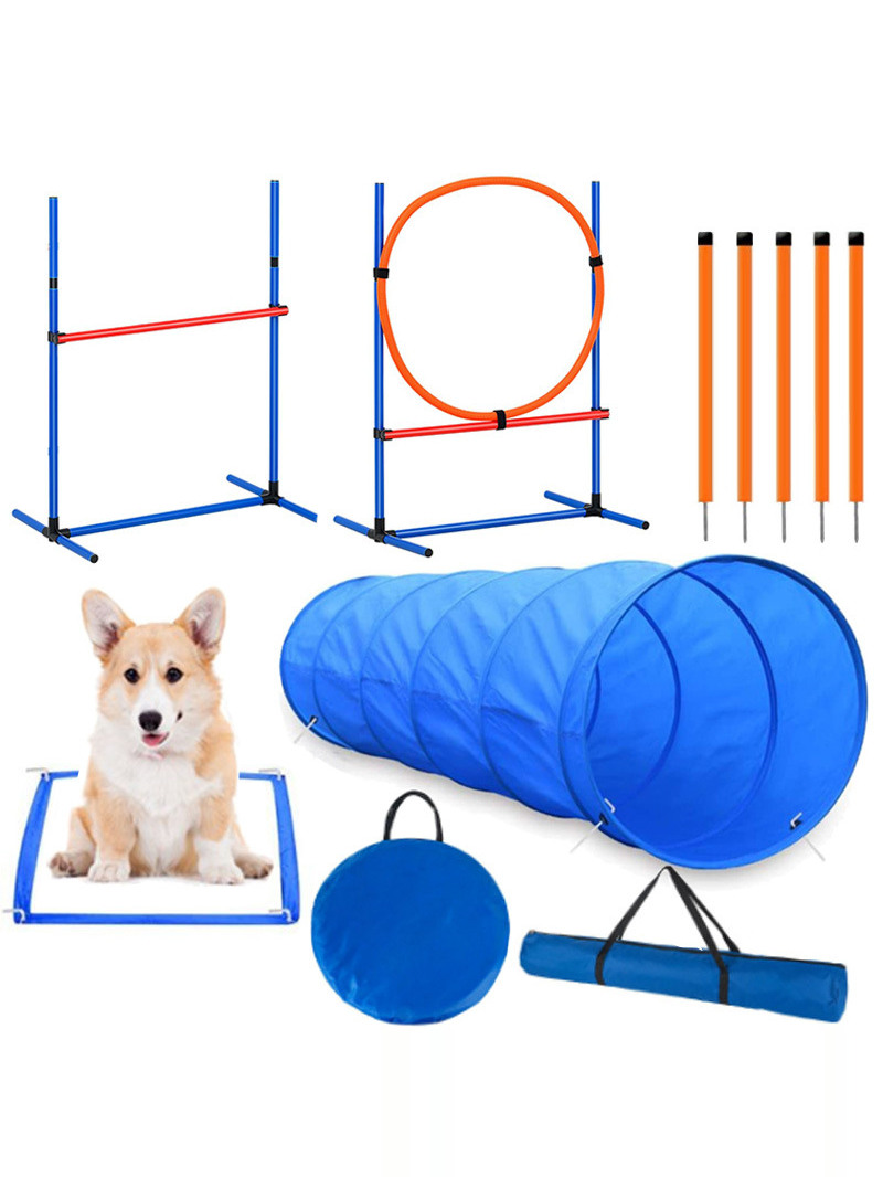 Dog Obstacle Training Competit - огляд і ціна Pet Supplies Usa