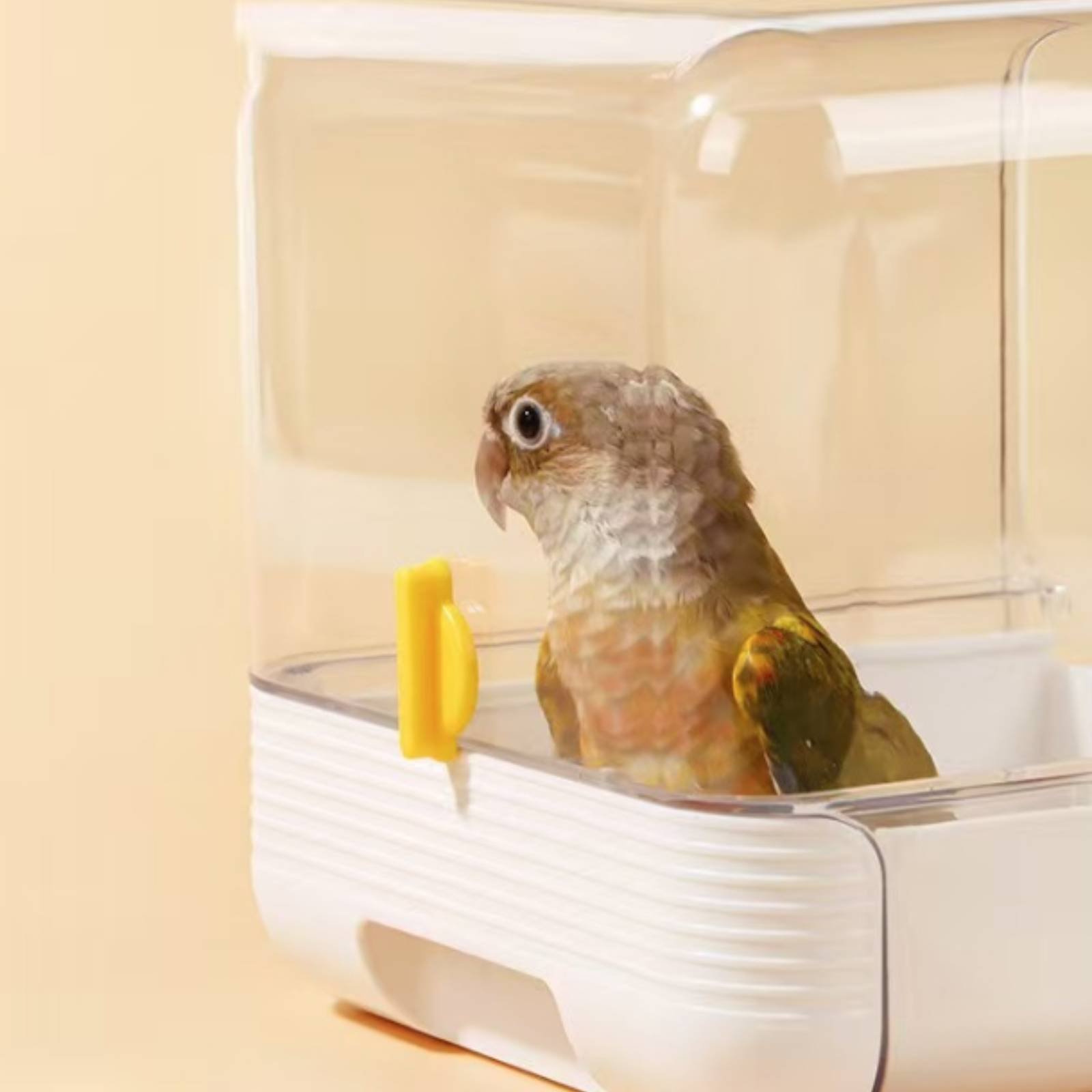 Parrot Bathing Tub Multi Funct - огляд і ціна Pet Supplies Usa