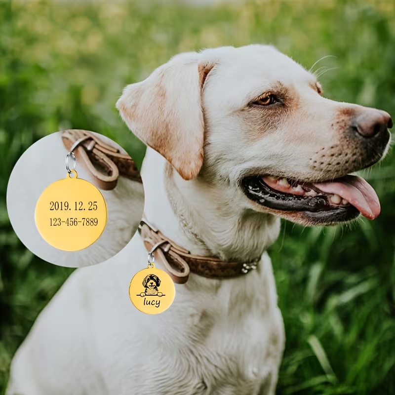 Custom Pet Name Puppy Anti-los - огляд і ціна Pet Supplies Discount