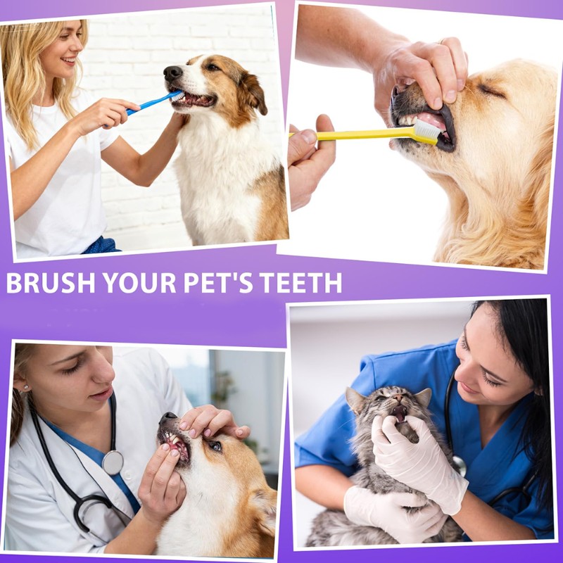 AB66-Dog Oral Hygiene Tool- 60 - огляд і ціна Dog Paw Cleaner