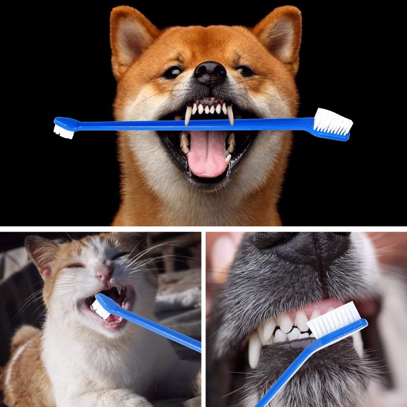 AB66-Dog Oral Hygiene Tool- 60 - огляд і ціна Dog Paw Cleaner